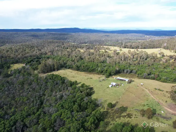 2556 Wangarabell Road, Genoa VIC 3891