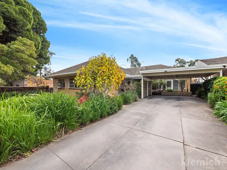 37 Statenborough Street, Leabrook SA 5068