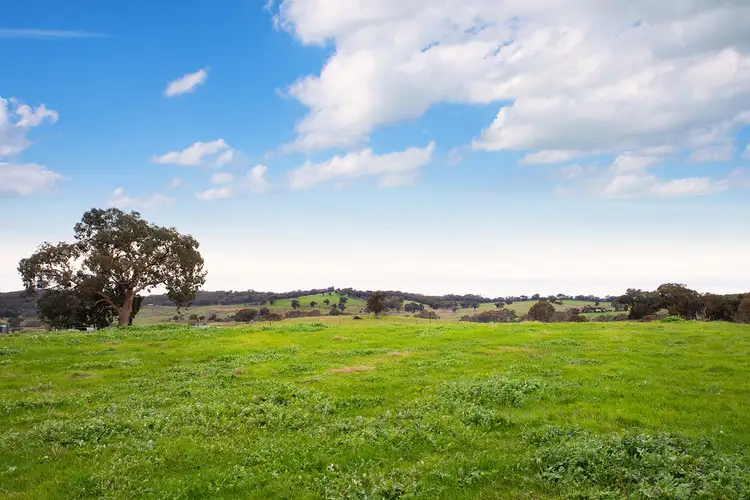Fourth view of Homely land listing, LOT 2 Lemon Tree Lane, Sedgwick VIC 3551