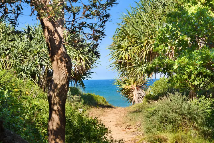 Third view of Homely house listing, 25 Sapphire Crescent, Sapphire Beach NSW 2450