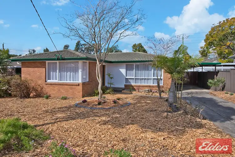Main view of Homely house listing, 5 Hurley Street, Toongabbie NSW 2146