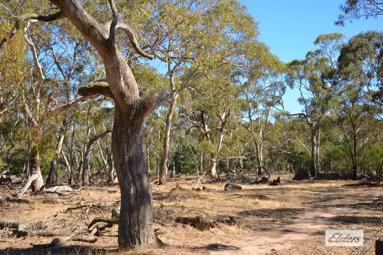 Fifth view of Homely rural property listing, Roses Gap Road, Ledcourt VIC 3385