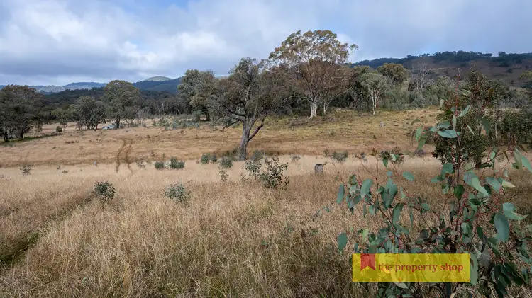 Fourth view of Homely rural property listing, 238 Clarkes Creek Road, Mudgee NSW 2850