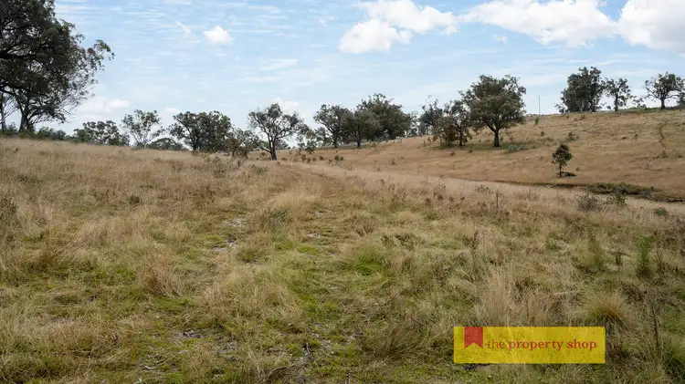 Fifth view of Homely rural property listing, 238 Clarkes Creek Road, Mudgee NSW 2850