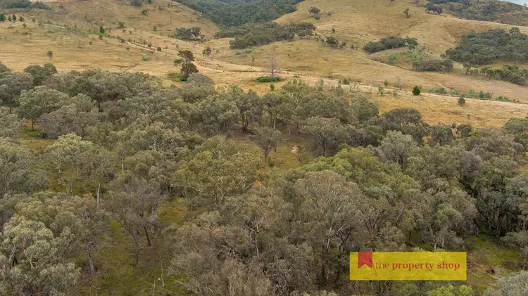 Seventh view of Homely rural property listing, 238 Clarkes Creek Road, Mudgee NSW 2850