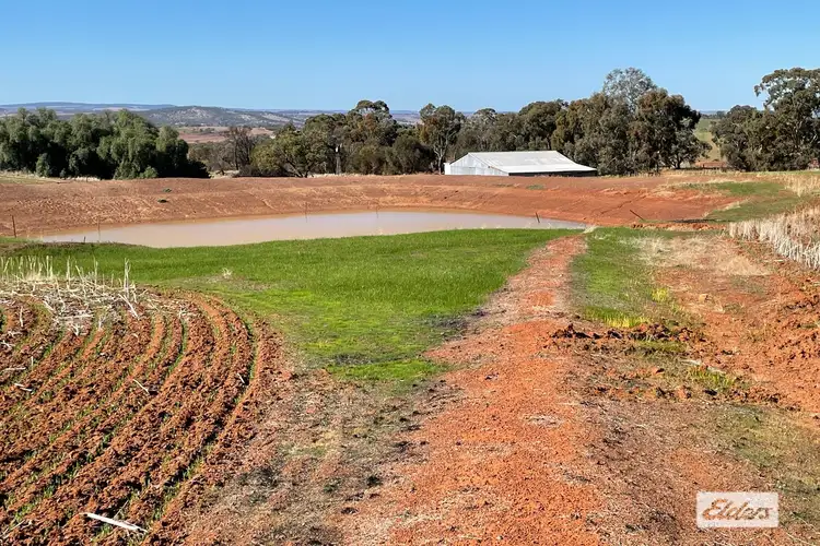 Sixth view of Homely rural property listing, 503 Ashworth Road, York WA 6302