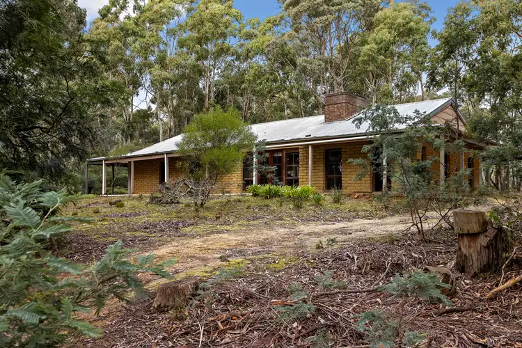 Second view of Homely house listing, 215 Gays Road, Wheatsheaf VIC 3461