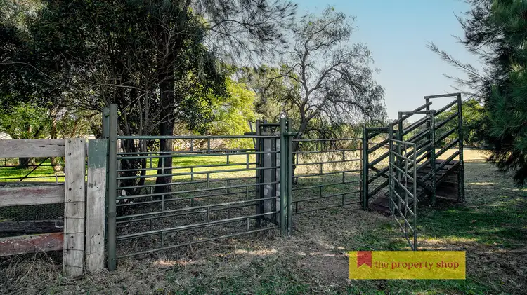 Fifth view of Homely rural property listing, 1620 Spring Creek Road, Mudgee NSW 2850