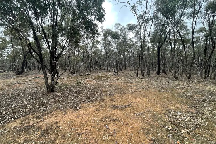 Main view of Homely rural property listing, LOT 16 Wheelhouse Road, Wedderburn VIC 3518