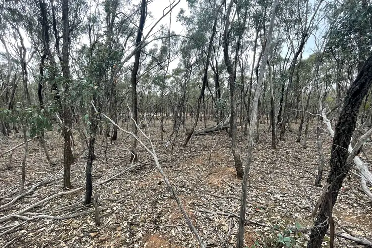 Second view of Homely rural property listing, LOT 16 Wheelhouse Road, Wedderburn VIC 3518