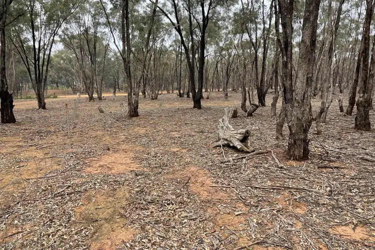 Third view of Homely rural property listing, LOT 16 Wheelhouse Road, Wedderburn VIC 3518