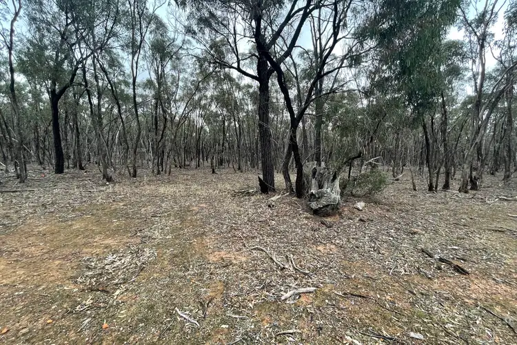 Fourth view of Homely rural property listing, LOT 16 Wheelhouse Road, Wedderburn VIC 3518