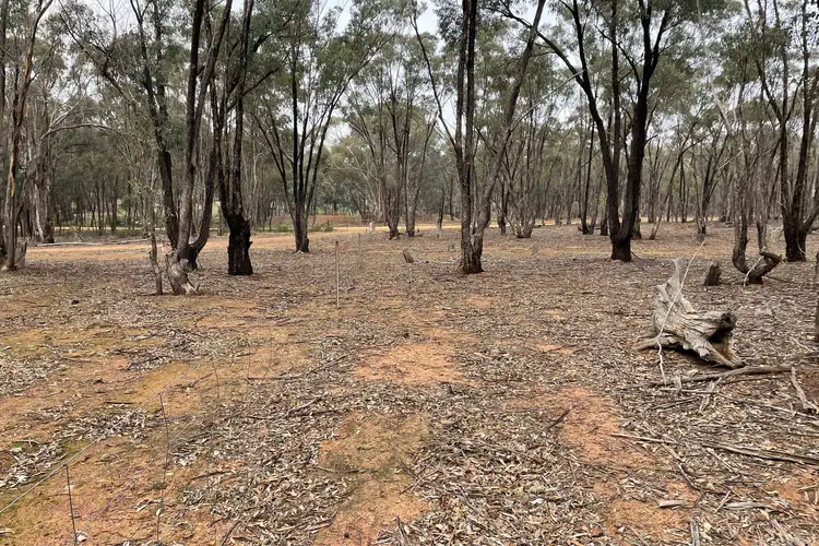 Sixth view of Homely rural property listing, LOT 16 Wheelhouse Road, Wedderburn VIC 3518