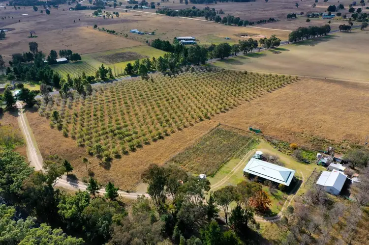 Third view of Homely rural property listing, 6 St Fillans Road, Mudgee NSW 2850
