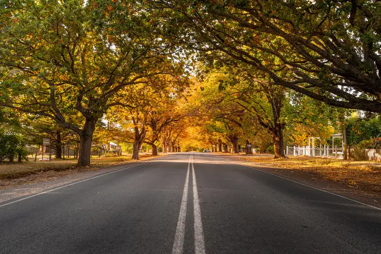 Third view of Homely land listing, LOT 16, 24 Collins Road, Glenlyon VIC 3461