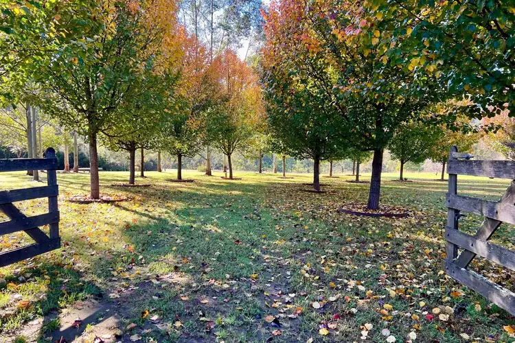 Fourth view of Homely land listing, 20 Carters Road, Kangaroo Valley NSW 2577