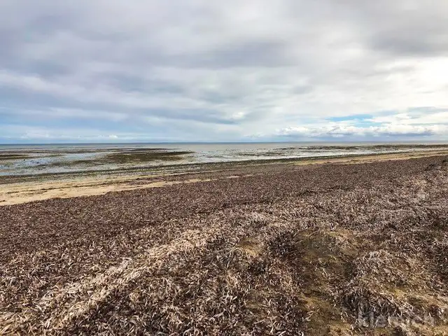 Fifth view of Homely land listing, 13 The Esplanade, Thompson Beach SA 5501