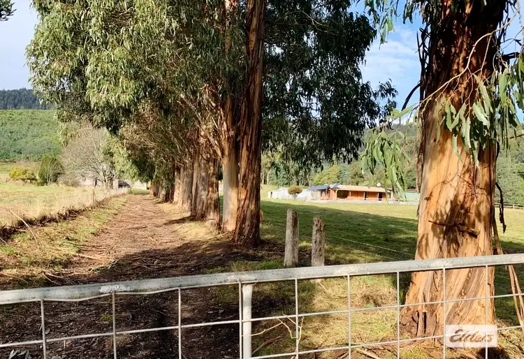 471 Nook Road, Nabowla TAS 7260