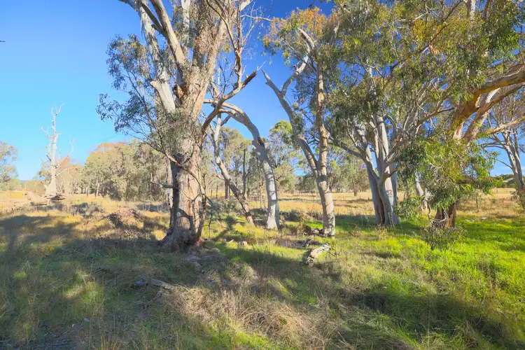 Third view of Homely rural property listing, 46 Iron Barks Road, Mudgee NSW 2850