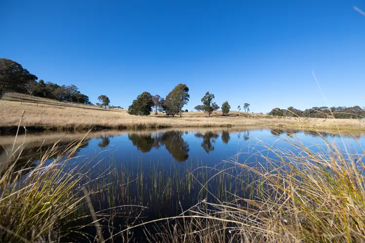 Fourth view of Homely rural property listing, 46 Iron Barks Road, Mudgee NSW 2850