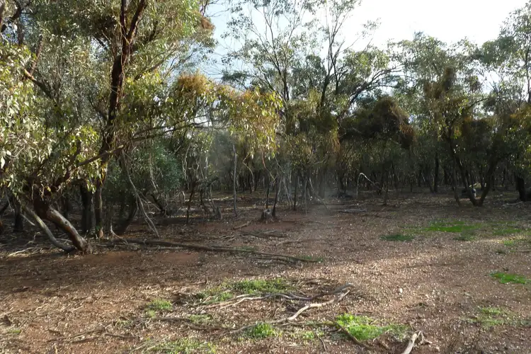Sixth view of Homely rural property listing, CA91 Eucy Road, Woolshed Flat VIC 3518