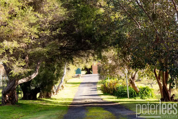 Second view of Homely house listing, 4 Hayley Court, Deviot TAS 7275