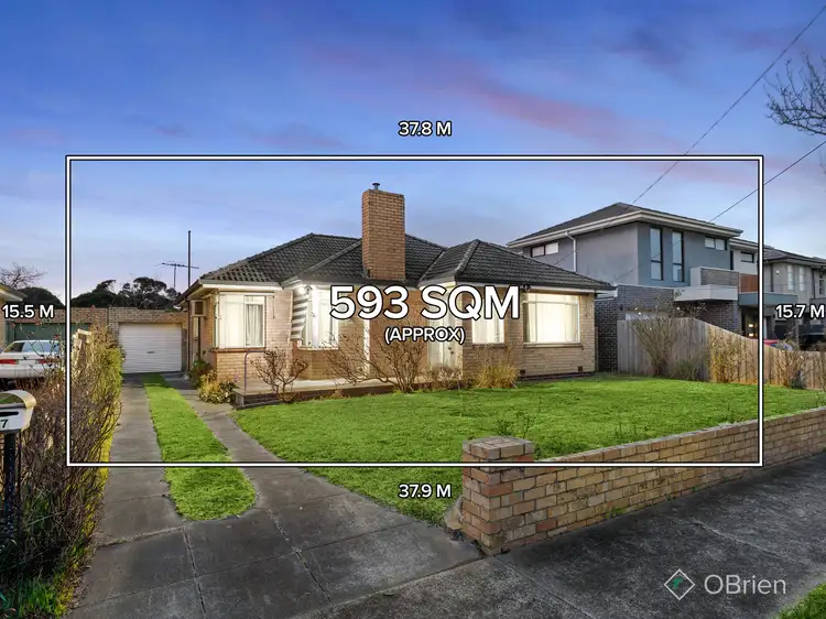 Main view of Homely house listing, 17 Rae Street, Bentleigh East VIC 3165