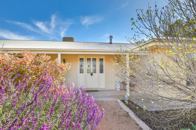 461-463 Irymple Avenue, Nichols Point VIC 3501