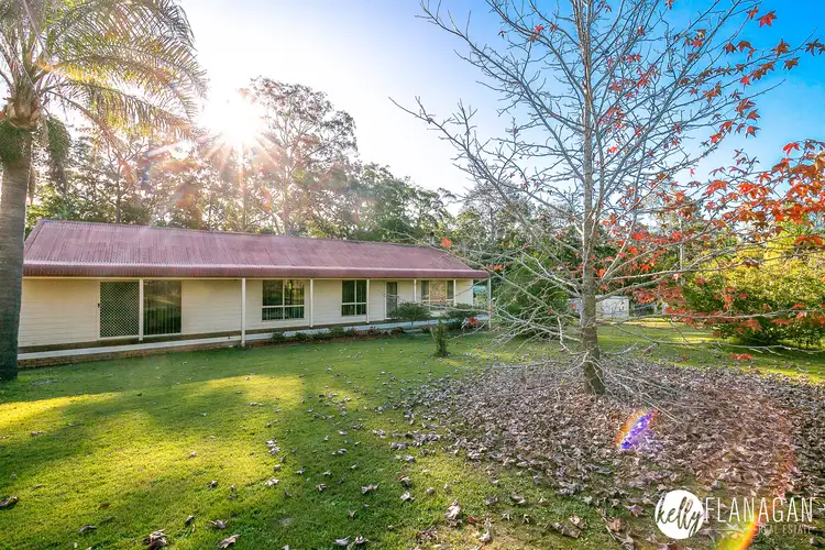 Main view of Homely rural property listing, 111 John Lane Road, Yarravel NSW 2440