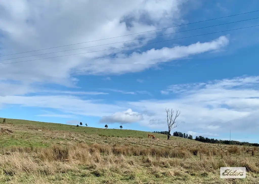 Main view of Homely land listing, LOT 3 Bacala Road, Lilydale TAS 7268