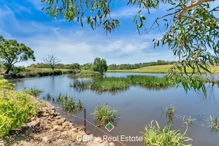 Third view of Homely rural property listing, 470 Cranbourne Frankston Road, Langwarrin VIC 3910