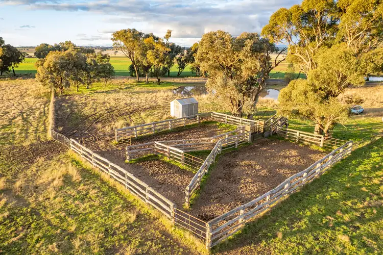 Third view of Homely rural property listing, 1241 Longs Corner Road, Canowindra NSW 2804