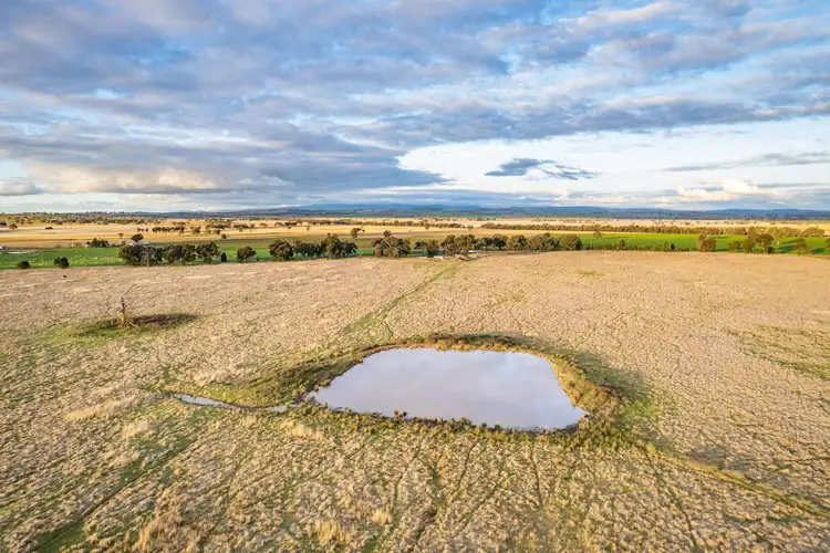 Fifth view of Homely rural property listing, 1241 Longs Corner Road, Canowindra NSW 2804