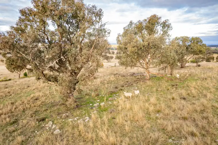 Sixth view of Homely rural property listing, 1241 Longs Corner Road, Canowindra NSW 2804