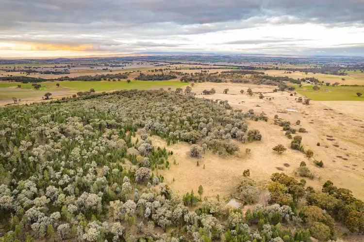 Seventh view of Homely rural property listing, 1241 Longs Corner Road, Canowindra NSW 2804
