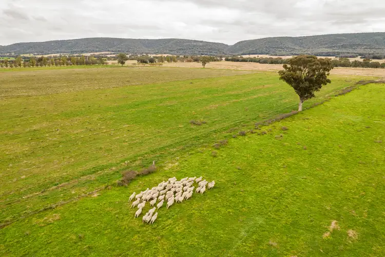 587 Tallarook Road, Cowra NSW 2794