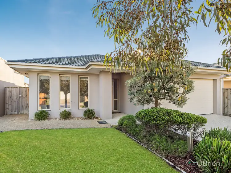 Sixth view of Homely house listing, 14 Clarence Court, Sandhurst VIC 3977