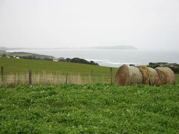Fifth view of Homely rural property listing, 225 Gap Road, Ventnor VIC 3922