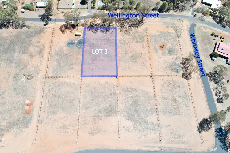 121 Wellington Street, Geurie NSW 2818