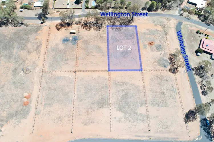 Main view of Homely land listing, 119 Wellington Street, Geurie NSW 2818