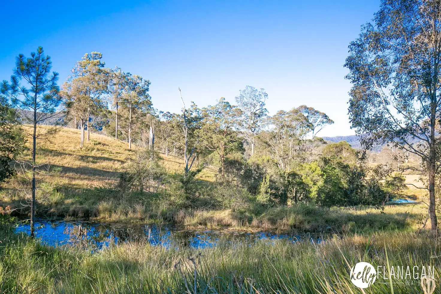 Main view of Homely land listing, 99 Mitchells Access, Bellbrook NSW 2440
