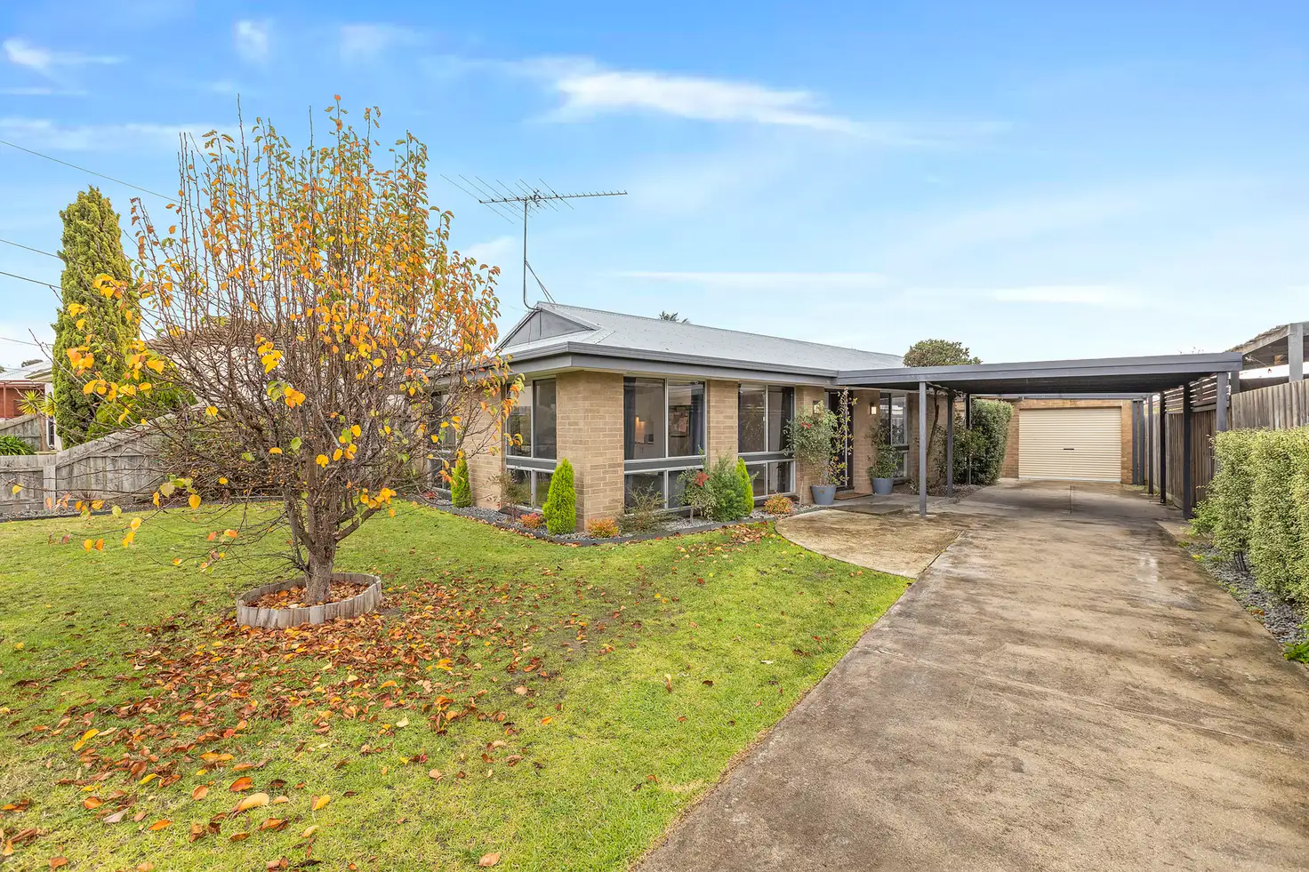 Main view of Homely house listing, 16 Darriwill Street, Bell Post Hill VIC 3215