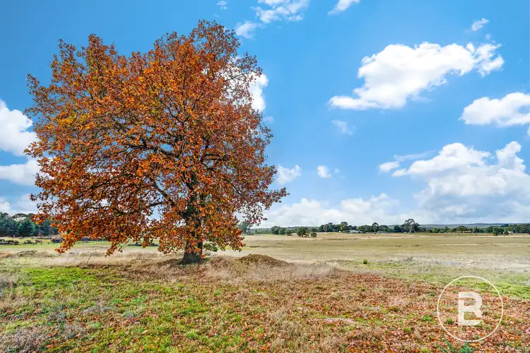 Fourth view of Homely land listing, 31 Kinglake Street, Scarsdale VIC 3351