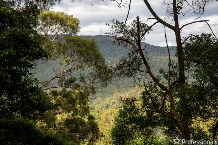 Second view of Homely house listing, 117 Wonga Road, Millgrove VIC 3799