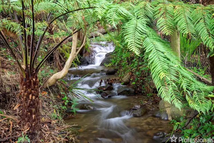 Third view of Homely house listing, 9 Lillis Court, Millgrove VIC 3799