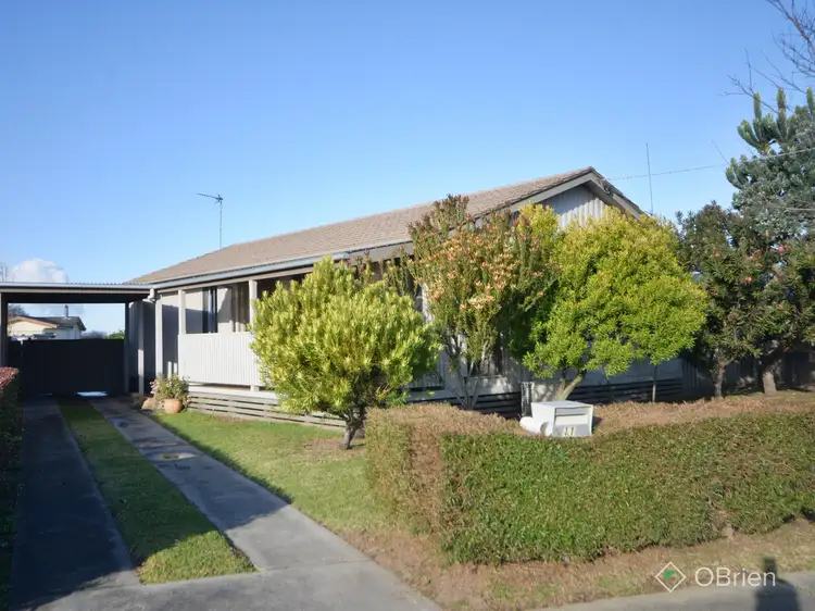 Main view of Homely house listing, 11 Vivian Court, East Bairnsdale VIC 3875