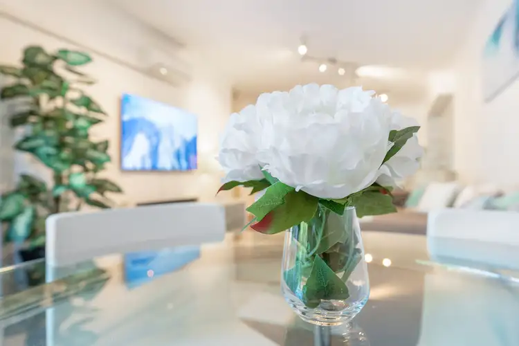 Sixth view of Homely apartment listing, 8/5 Figtree Avenue, Abbotsford NSW 2046