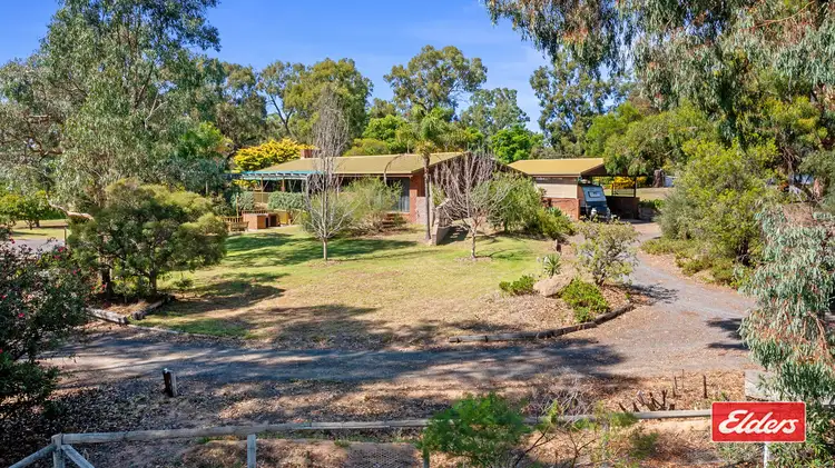 Main view of Homely house listing, 41 Wanani Road, Mulwala NSW 2647
