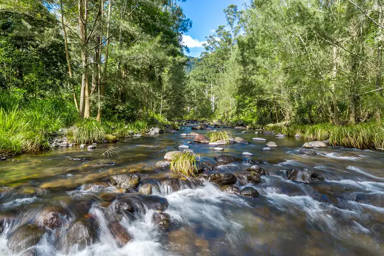 Fifth view of Homely rural property listing, 3275 Christmas Creek Road, Lamington QLD 4285