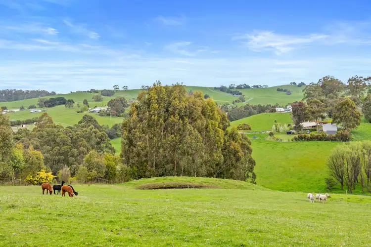 Fourth view of Homely rural property listing, 195 Barnes Road, Kardella South VIC 3950